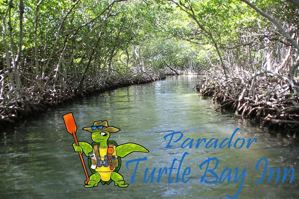 Bed & Breakfast Parador Turtle Bay Inn La Parguera